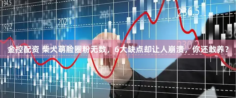 金控配资 柴犬萌脸圈粉无数，6大缺点却让人崩溃，你还敢养？