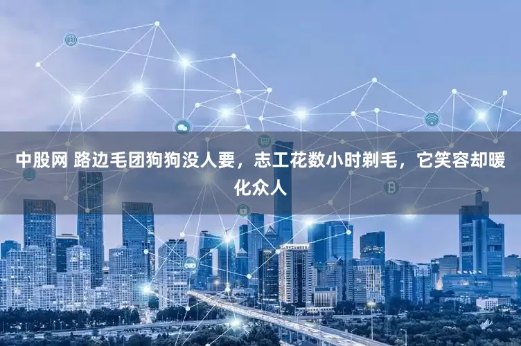 中股网 路边毛团狗狗没人要，志工花数小时剃毛，它笑容却暖化众人