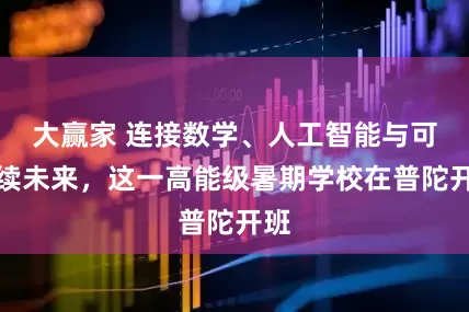 大赢家 连接数学、人工智能与可持续未来，这一高能级暑期学校在普陀开班
