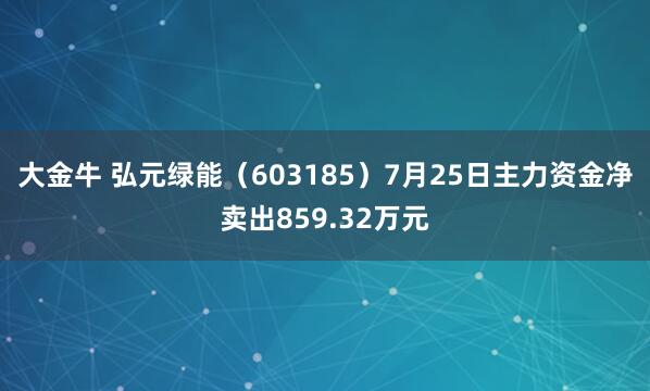 大金牛 弘元绿能（603185）7月25日主力资金净卖出859.32万元