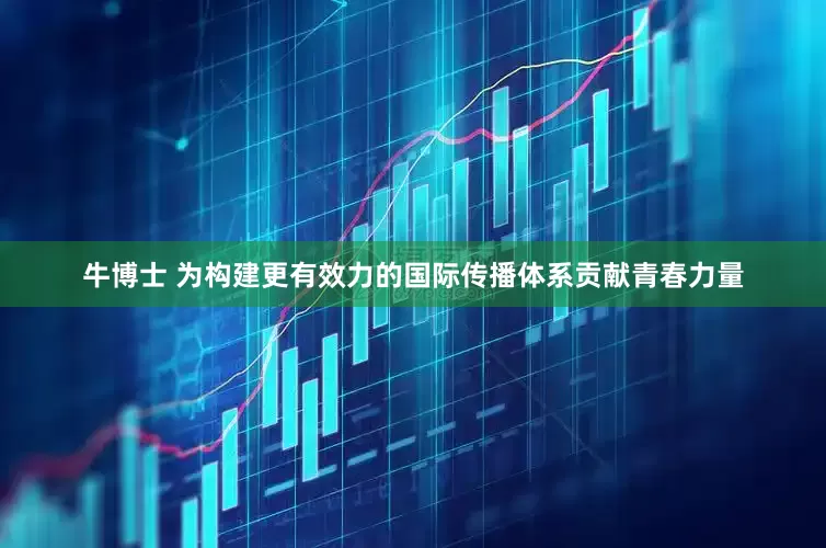 牛博士 为构建更有效力的国际传播体系贡献青春力量