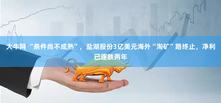 大牛网 “条件尚不成熟”，盐湖股份3亿美元海外“淘矿”路终止，净利已连跌两年