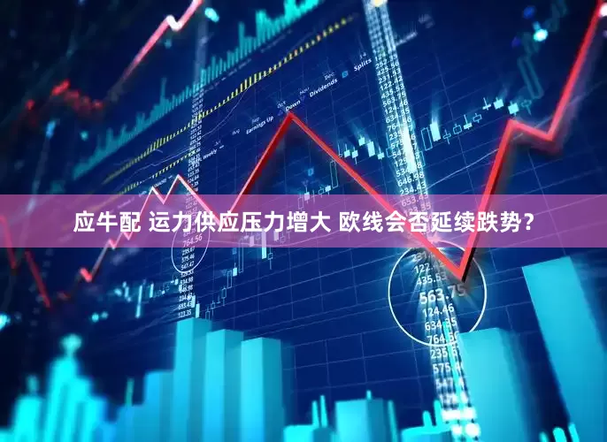 应牛配 运力供应压力增大 欧线会否延续跌势？